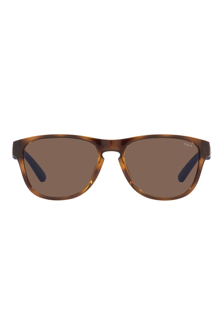 56mm Pillow Sunglasses, Main, color, SHINY HAVANA / BROWN