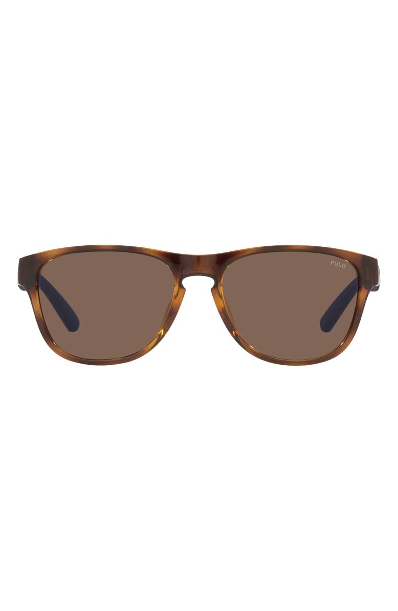 Polo Ralph Lauren 56mm Pillow Sunglasses, Main, color, Shiny Havana / Brown