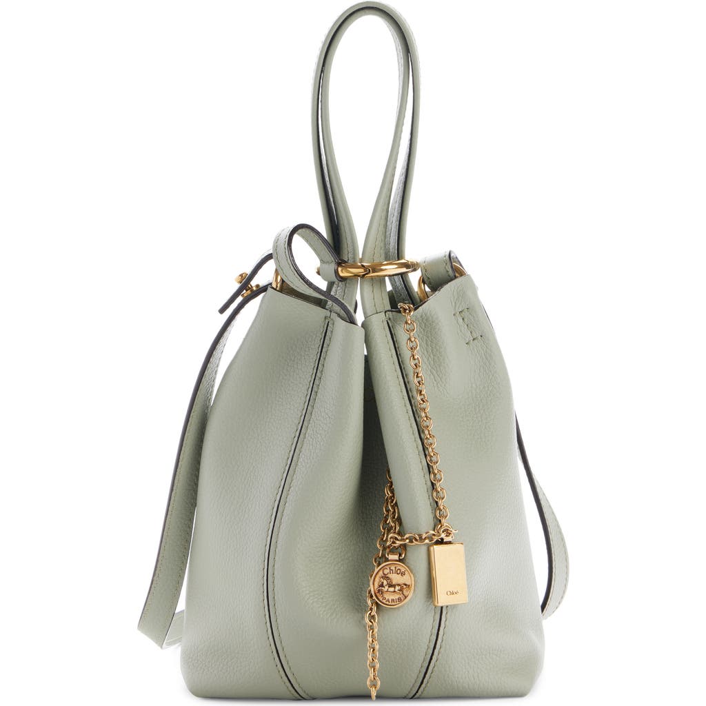 Chloé Small Spin Leather Crossbody Tote In 38y Sea Grass