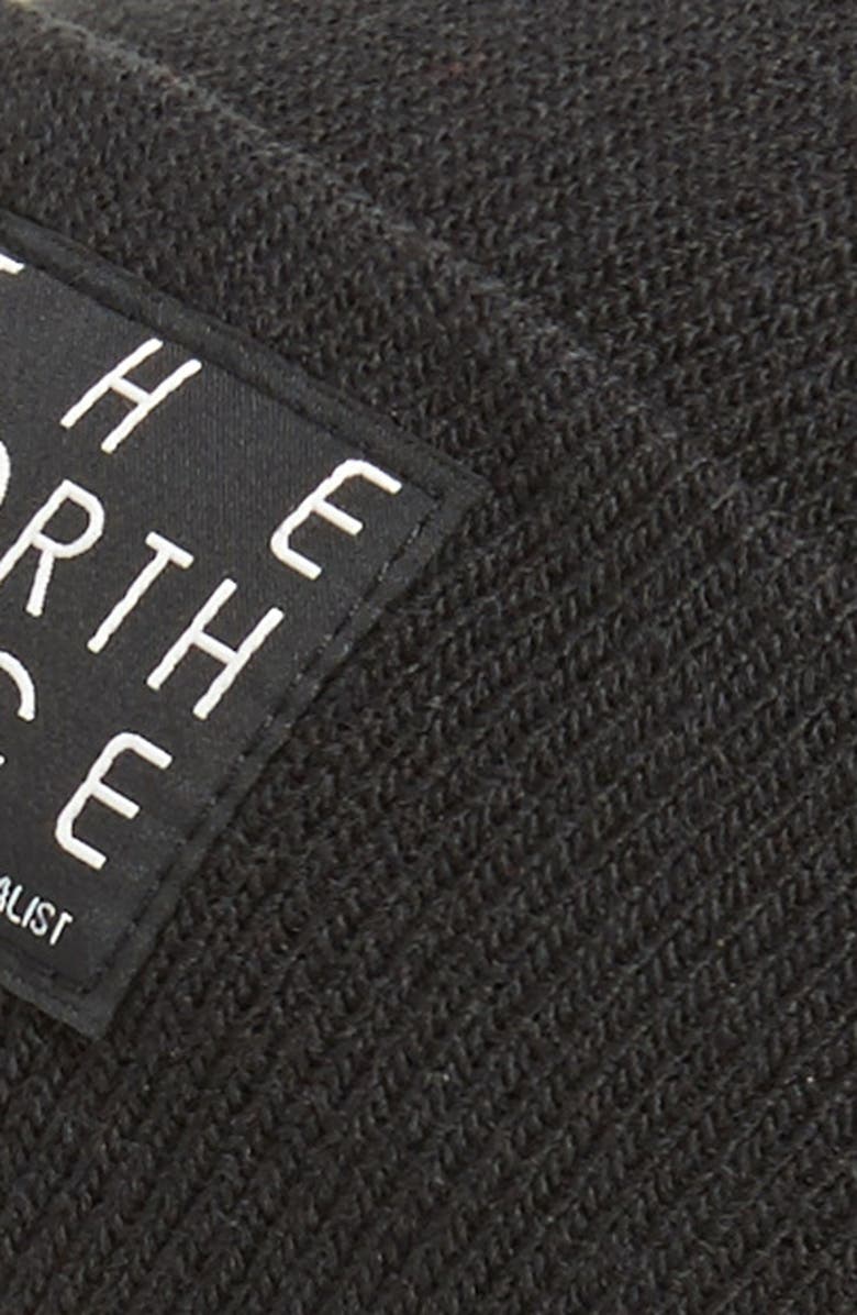 The North Face 'Dock Worker' Beanie, Alternate, color,