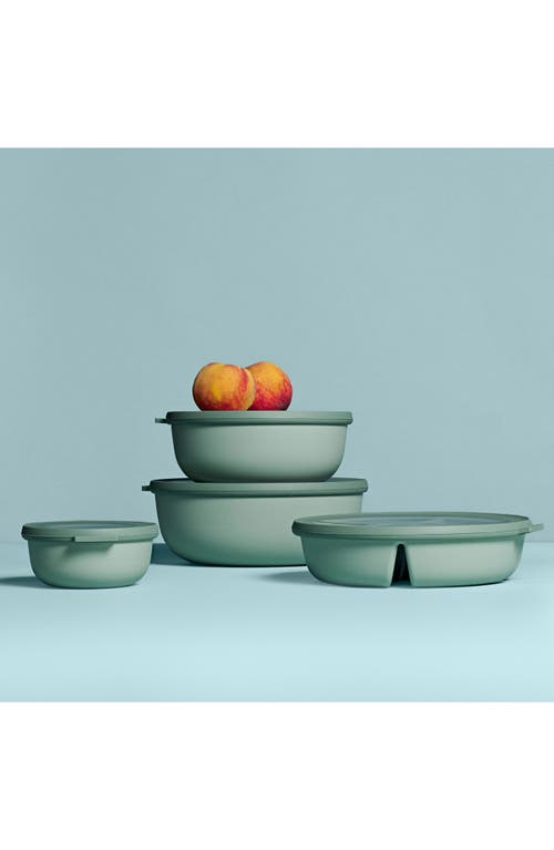 Mepal Cirqula Bento Bowl