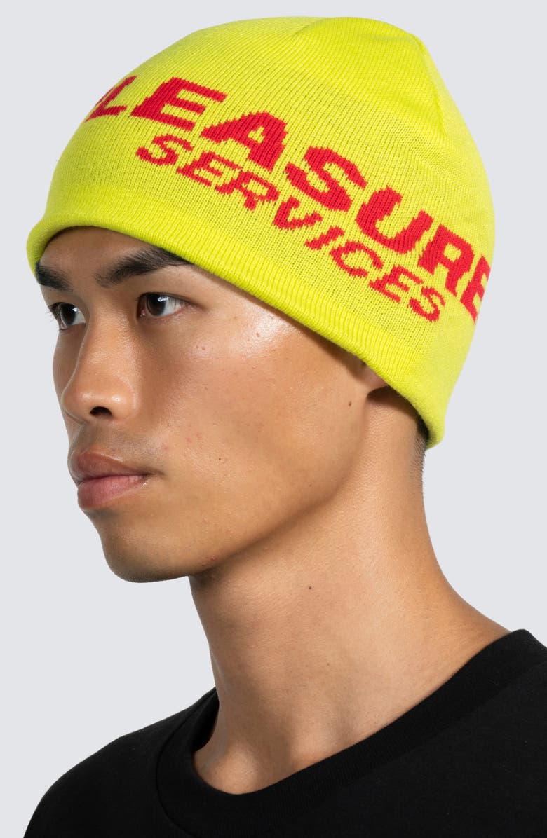 PLEASURES Service Skully Beanie, Alternate, color,