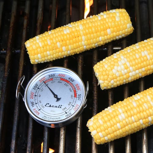 Escali Extra Large Grill Surface Thermometer In Silver