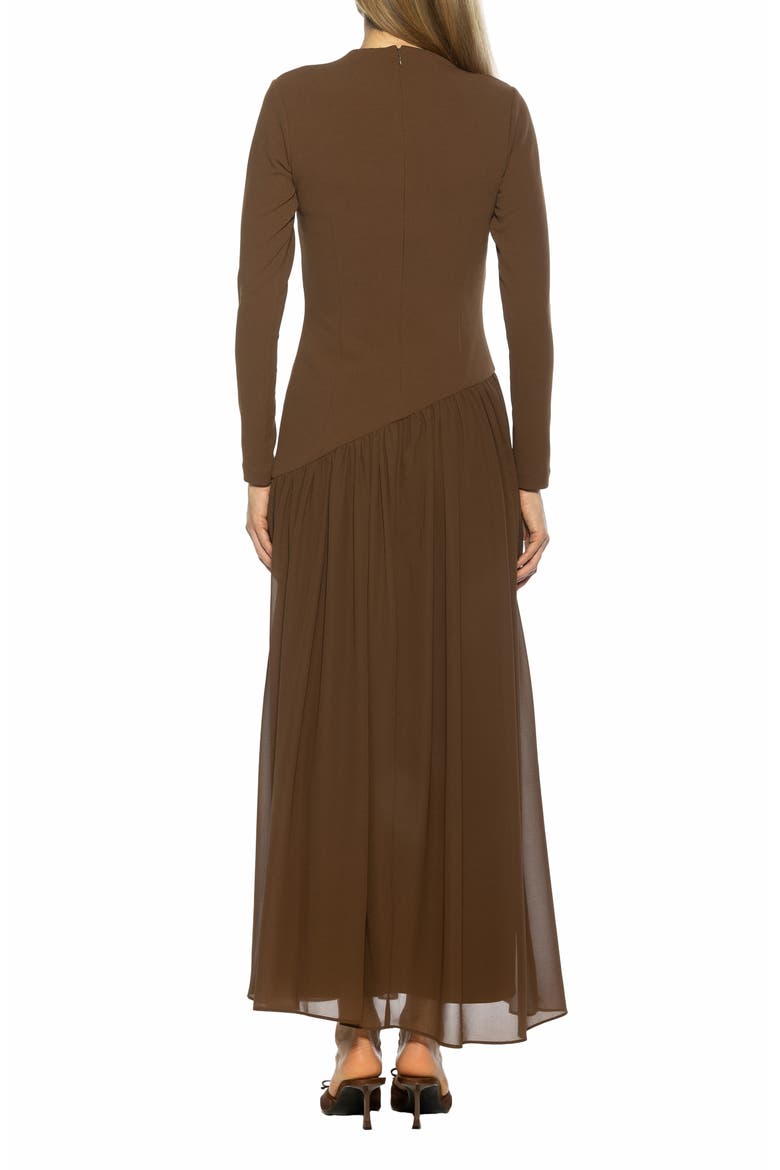 Dakota Long Sleeve Gown, Alternate, color, BROWN
