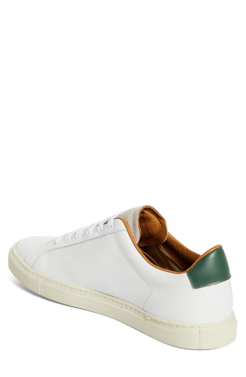 Common Projects Retro Classic Low Top Sneaker In 0590 White/green