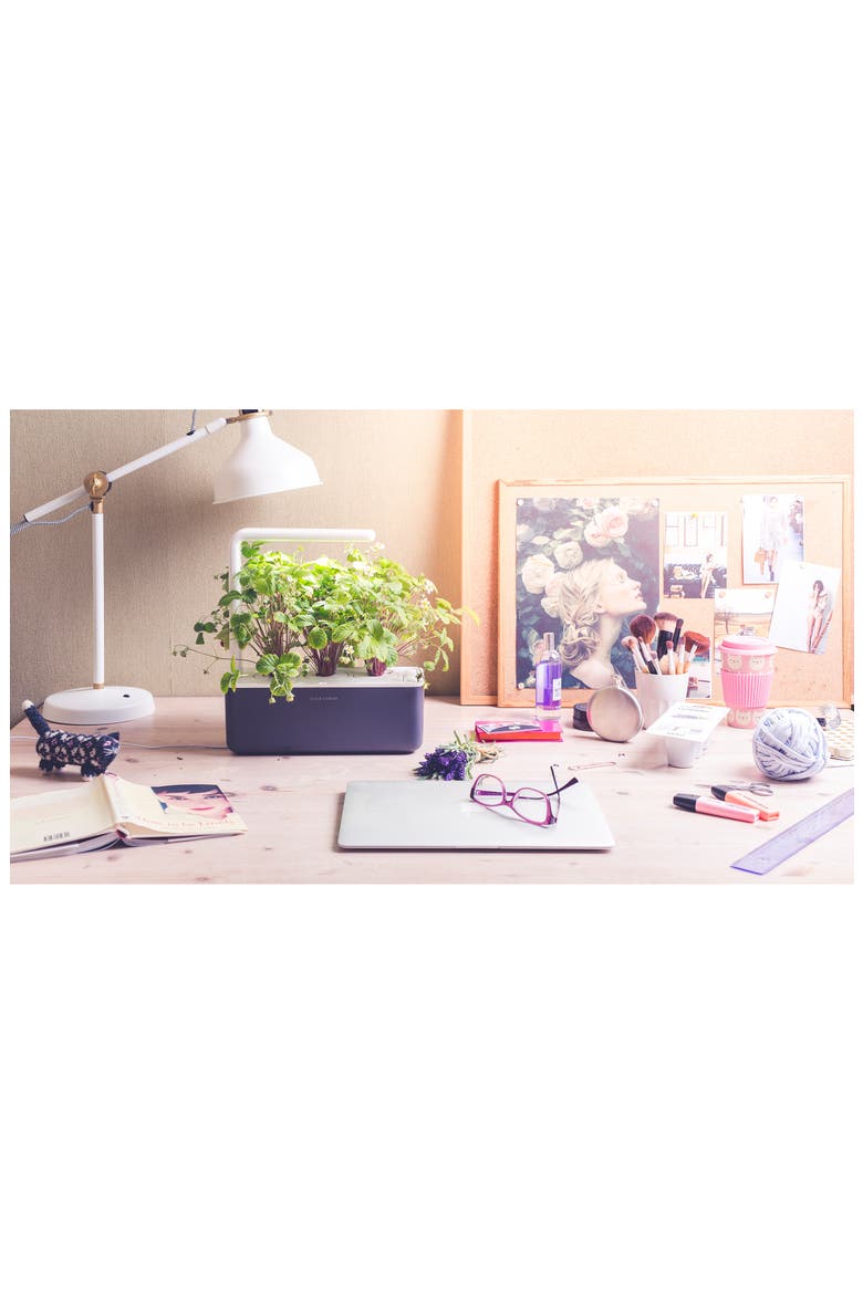 Smart Garden 3 Self Watering Indoor Garden, Alternate, color, GREY