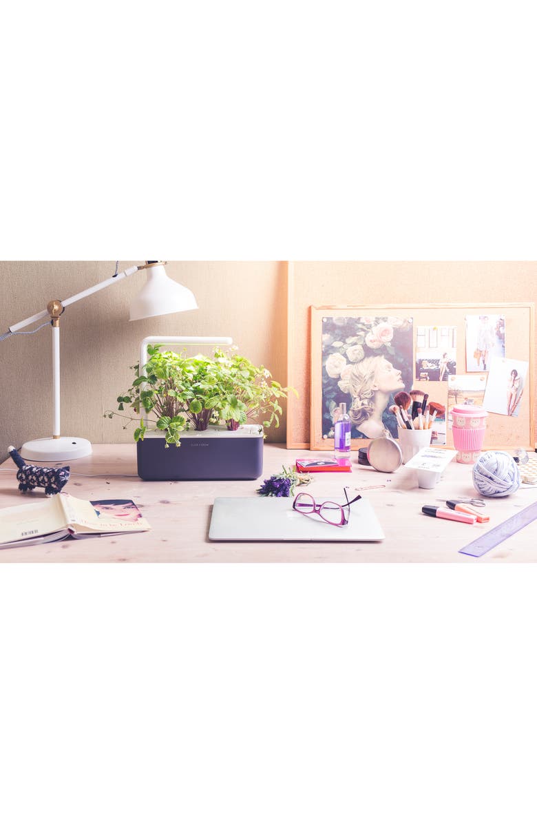 Click & Grow Smart Garden 3 Self Watering Indoor Garden, Alternate, color, Grey