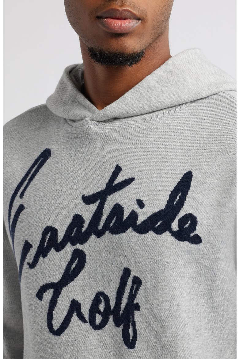 Logo Intarsia Hooded Sweater, Alternate, color, HEATHER GREY