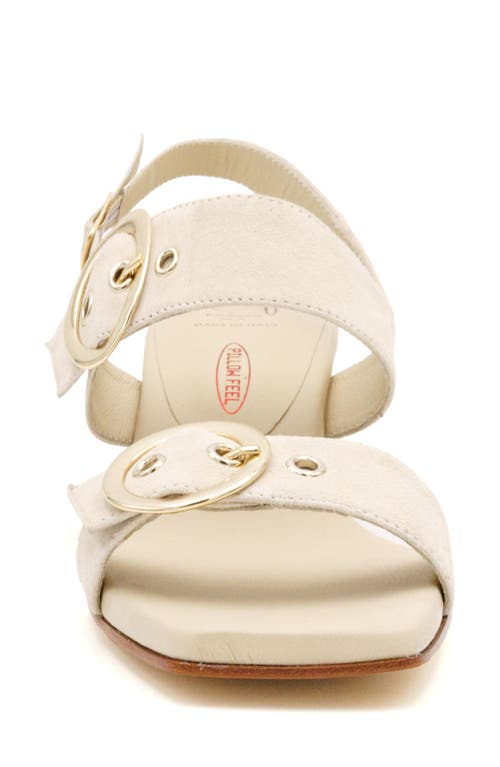 Amalfi By Rangoni Miriam Slingback Sandal In Ivory Cashmere - Gold Buckle