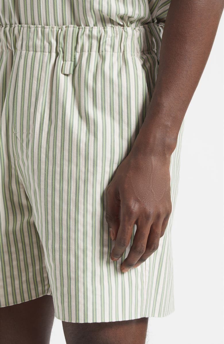 Homme Plissé Issey Miyake Stripe Cotton Dobby Shorts, Alternate, color, Green