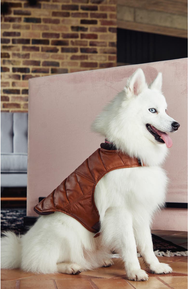 Masky Calm Fit Leather Vest, Alternate, color, Cooper
