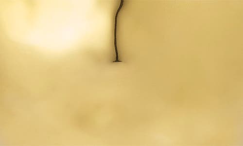 Illume Gilded Citrus Apple Candle 7.8 Oz. In Gold