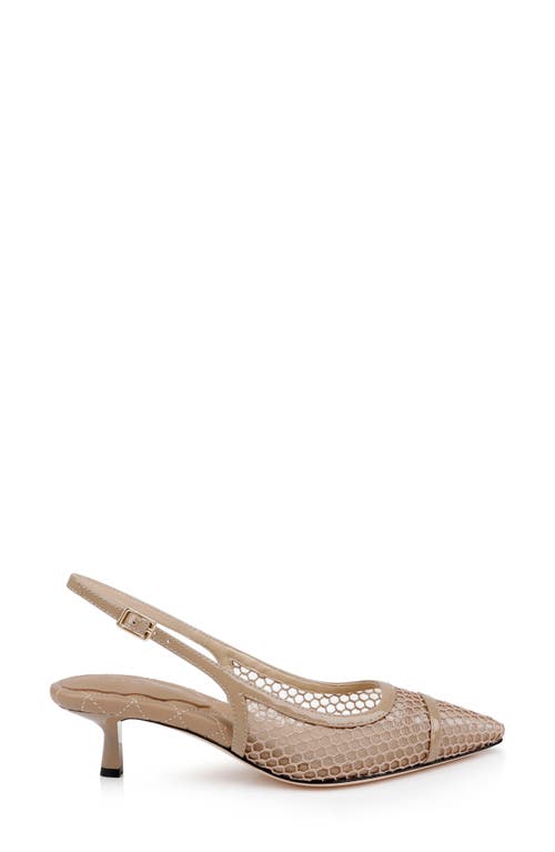 L Agence L'agence Graland Pointed Toe Slingback Pump In Cappuccino Mesh