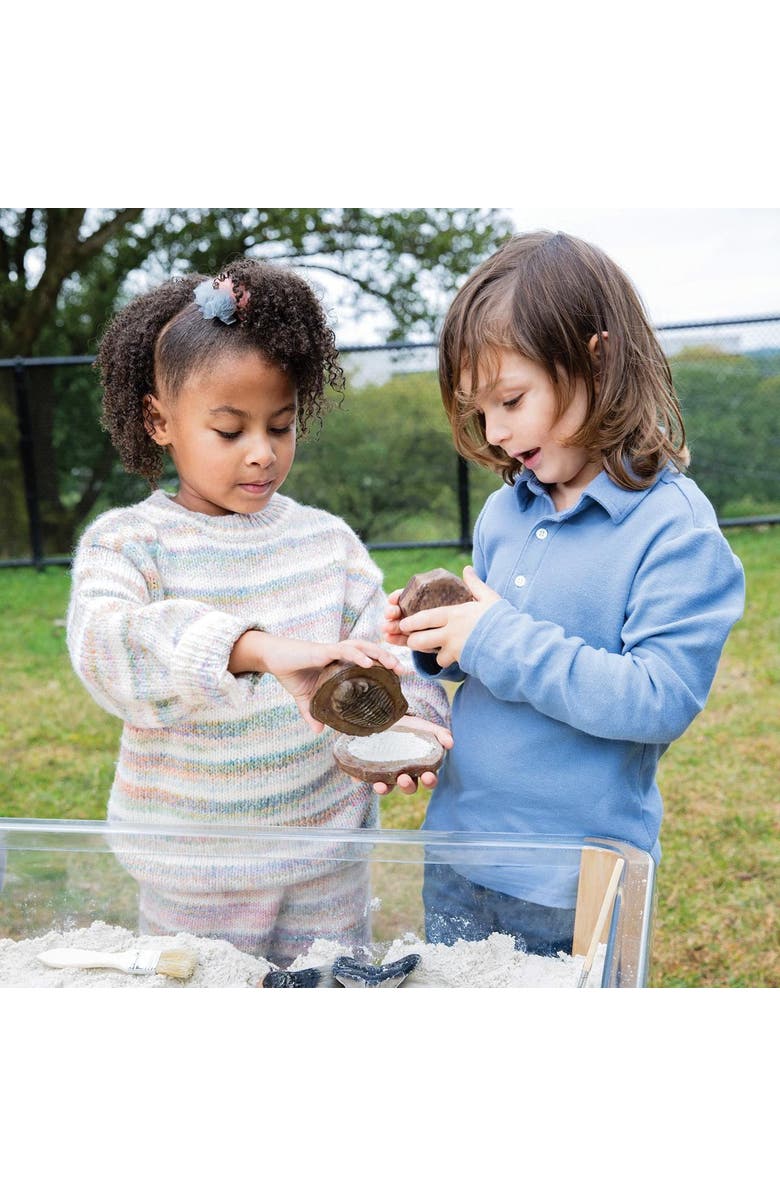 Kaplan Early Learning Company Magnetic Matching Fossil Stones - Set of 6, Alternate, color, Multicolored