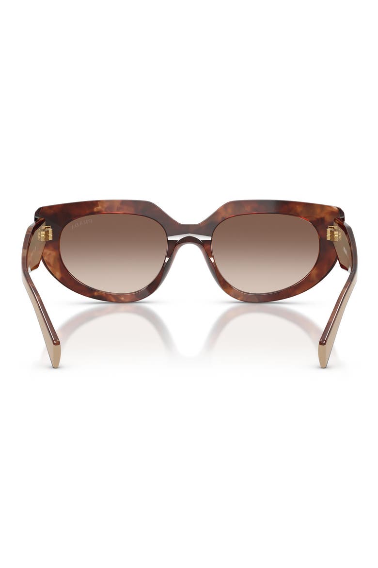 53mm Oval Sunglasses, Alternate, color, TORTOISE/ BROWN