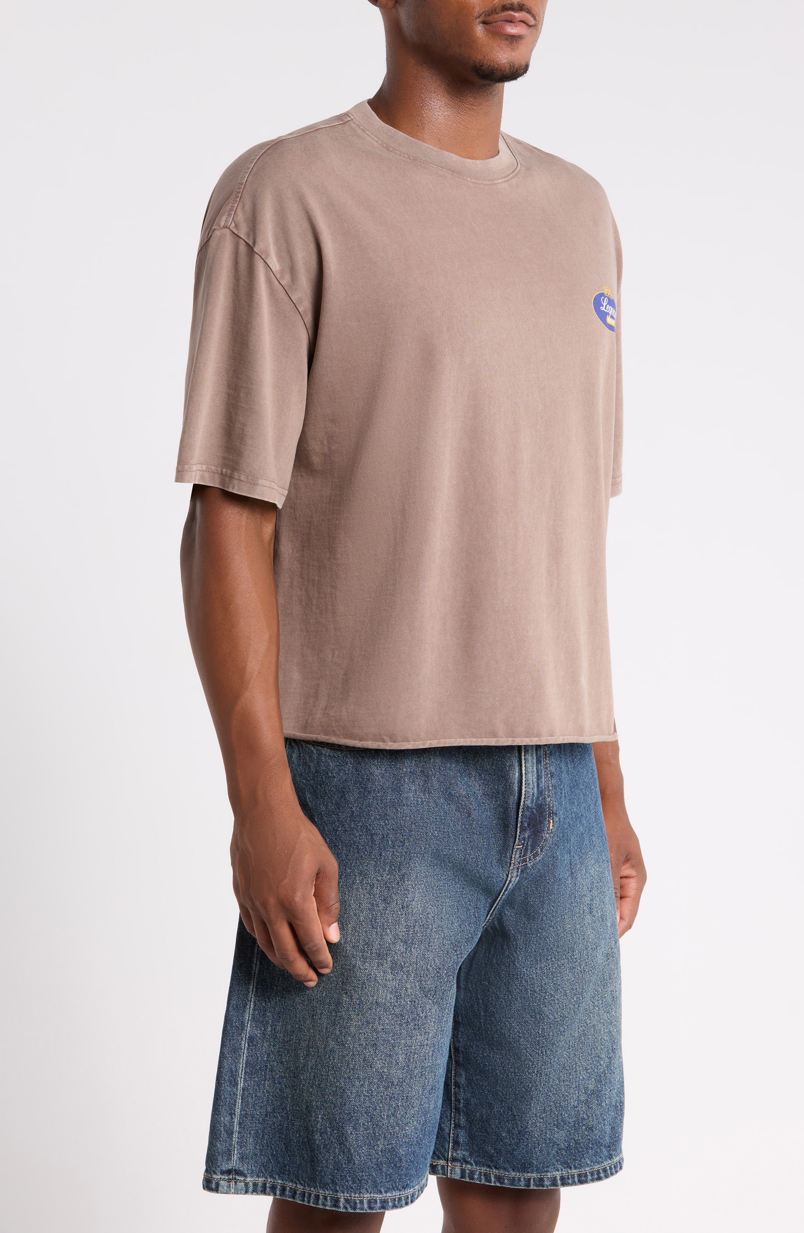 PacSun Kingdom Legacy Crop Heavyweight Cotton Graphic T-Shirt (Men ...