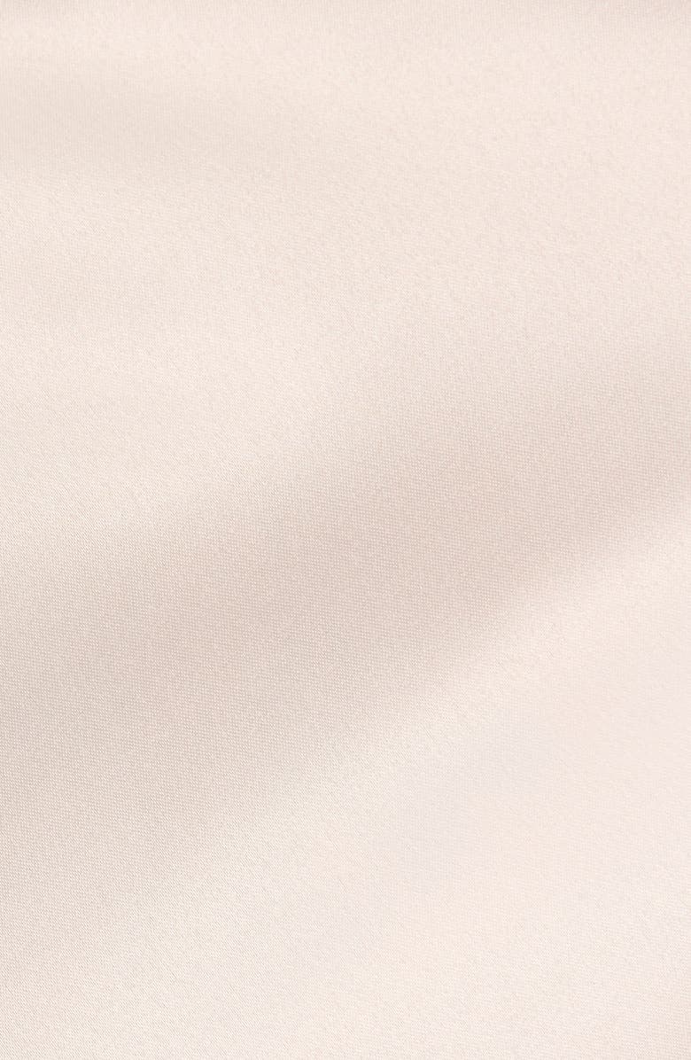 Etam Champetre Embroidered Satin & Mesh Briefs, Alternate, color, Dune