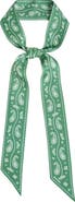 Lost Pattern "Paisley" Silk Twill Skinny Scarf