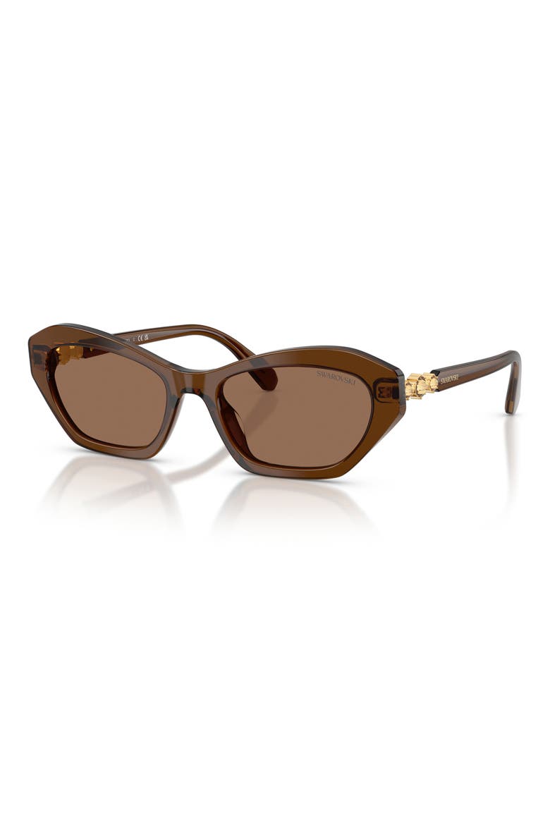 54mm Cat Eye Sunglasses, Alternate, color, TRANSPARENT BROWN / DARK BROWN