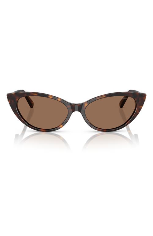 Jimmy Choo 55mm Cat Eye Sunglasses In Havana