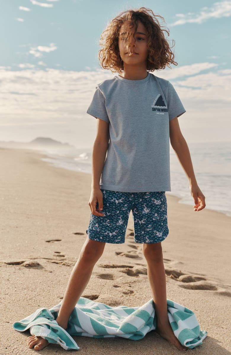 Fair Harbor Kids' Kismet Graphic T-Shirt, Alternate, color, Faded Denim Shark Fin