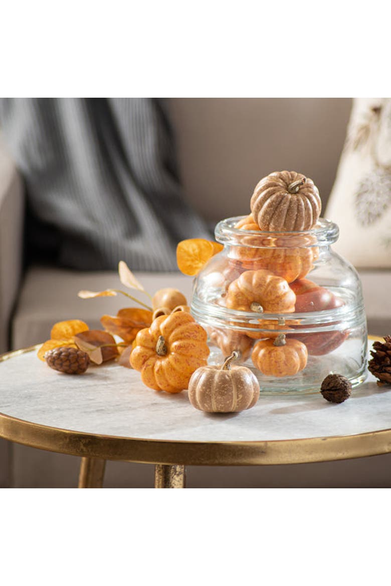 Weathered Harvest Thanksgiving Mixed Orange Pumpkin & Gourd Set of 9, Alternate, color, Orange