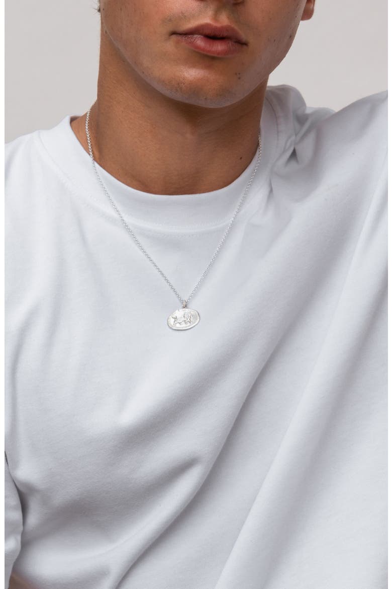 Men's Inspiring Lion Talisman Necklace, Alternate, color, Sterling Silver
