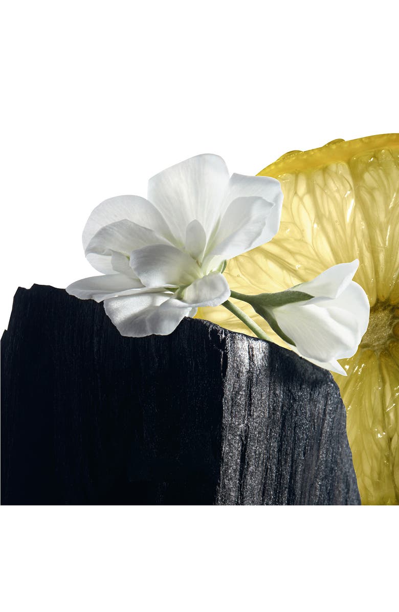 Yves Saint Laurent Y Eau de Toilette, Alternate, color,