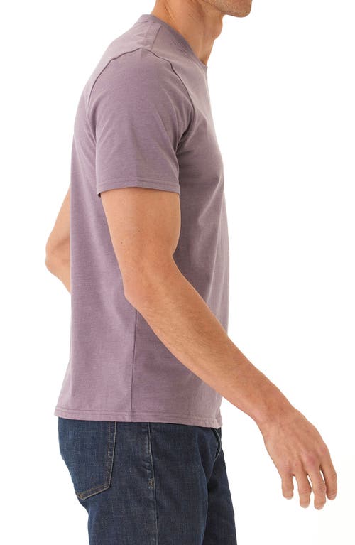 Threads 4 Thought Soft Wash Summit View Graphic T-shirt In Mauvedust