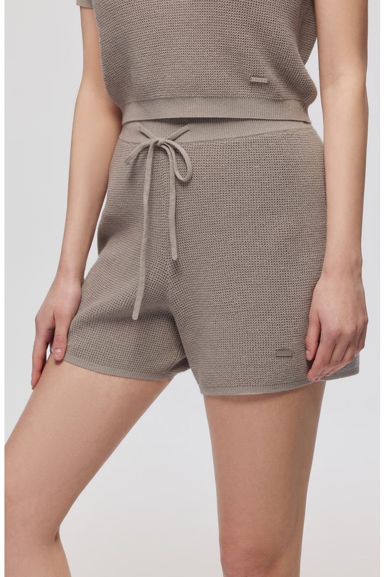 Noa Open Knit Shorts, Alternate, color, Light Gray