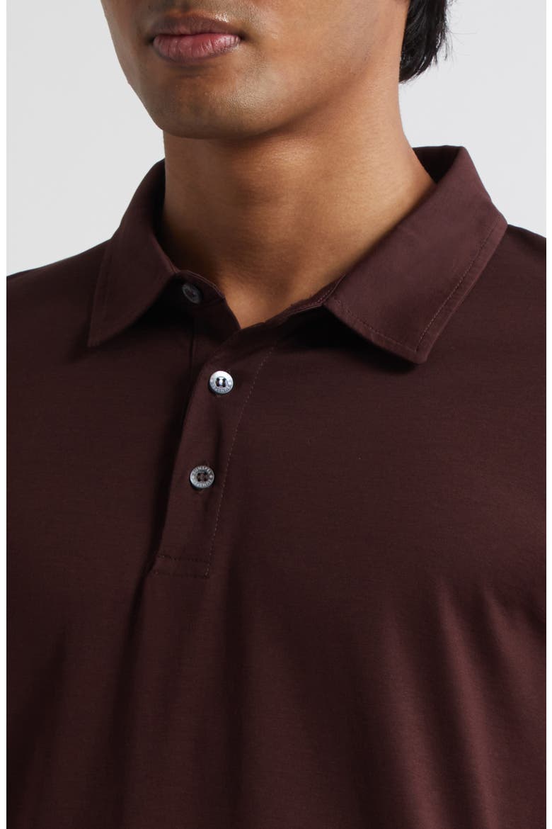 Long Sleeve Supima® Cotton Polo, Alternate, color, BAKELITE