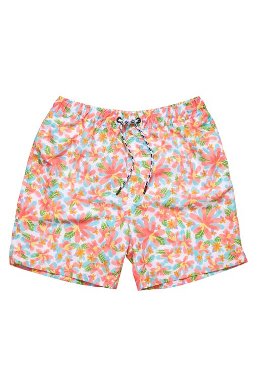 Snapper Rock Sustainable Swim Shorts In Pink