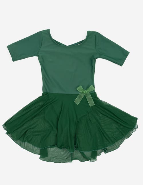 Leveret Girls Short Sleeve Skirted Leotard In Green