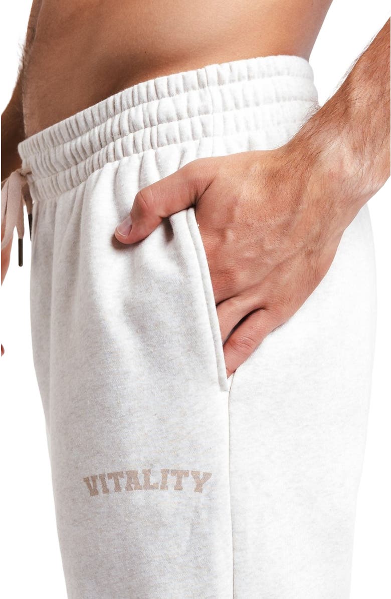 Vitality Cozy Uni Jogger, Alternate, color, Oat Marl