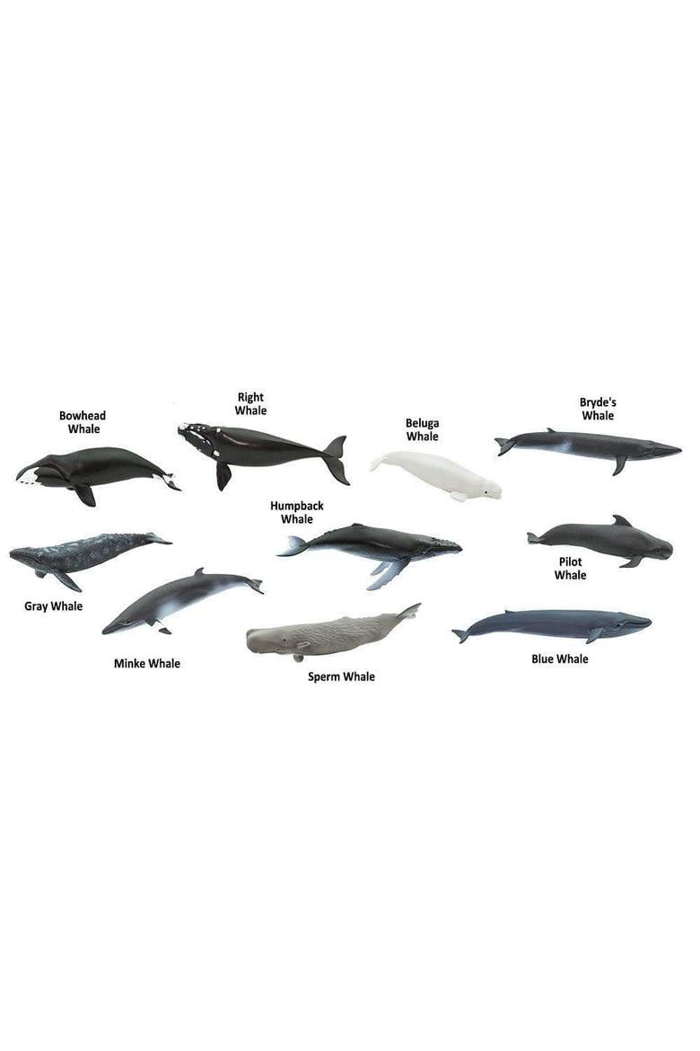 Whales Toy, Alternate, color, No Color