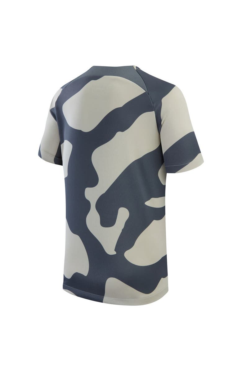 Jordan Brand Youth Jordan Brand Gray Paris Saint-Germain 2023/24 Academy Pro Performance Pre-Match Top, Alternate, color, Gray