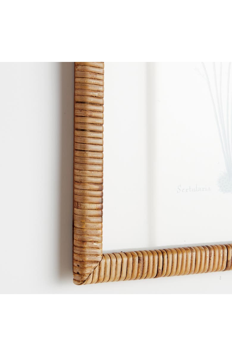 Napa Home & Garden 16"W x 1"D x 22"H Sea Fan And Coral Study In Blue Framed Wall Art Set of 6, Alternate, color, Blue