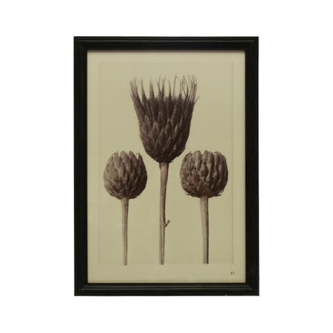 Wood Framed Artichoke Print with Glass Cover, Multicolor