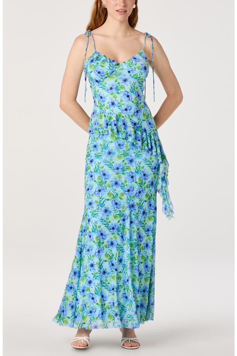 Mejra Floral Print Camisole, Alternate, color, BLUE FLORAL