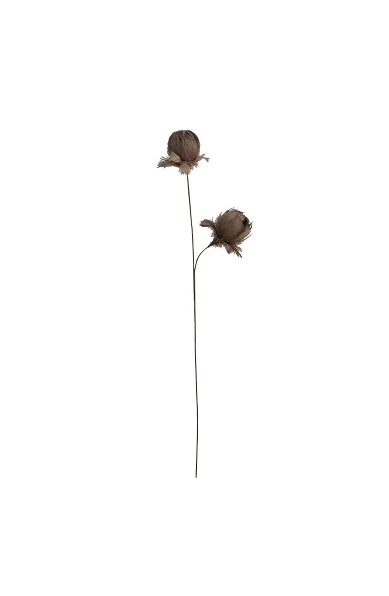 Storied Home Organic Feather Flower Stem Decor, Taupe, Main, color, Taupe