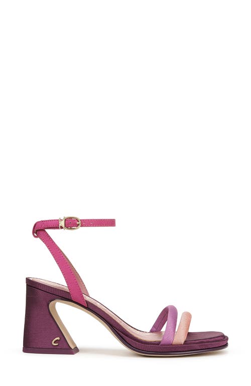 Circus Ny By Sam Edelman Holly Ankle Strap Sandal In Blush/lilac/punchy Pink
