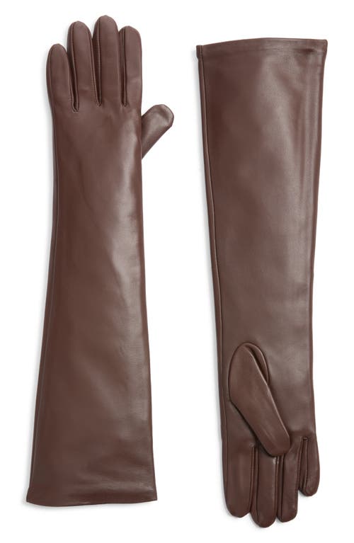 High Heel Jungle Florence Leather Opera Gloves In Brown