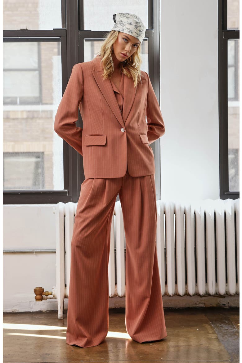 Serena Pinstripe Blazer, Alternate, color, CLAY PINSTRIPE