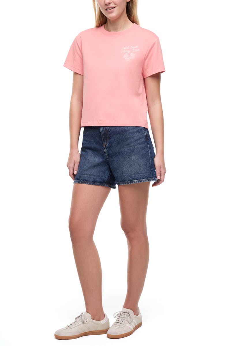 Wildfox Jamie Light Snack Embroidered T-Shirt, Alternate, color, Lobster Bisque