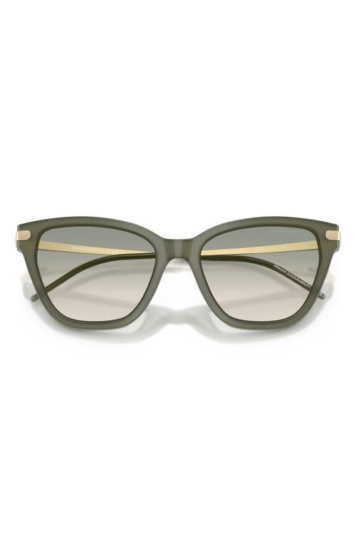 Emporio Armani 54mm Gradient Cat Eye Sunglasses In Green