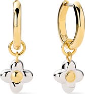 Ana Luisa Liora Drop Hoop Earrings