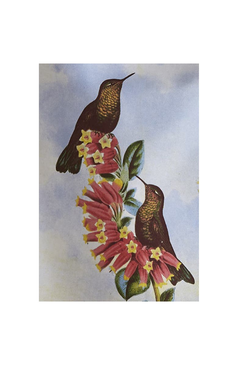 tag Hummingbird Red Flower Cotton Dishtowel Set for Summer, Alternate, color, Multicolored