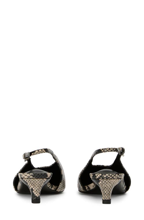 Tony Bianco Charlie Ecru Snake In Ecru Snake