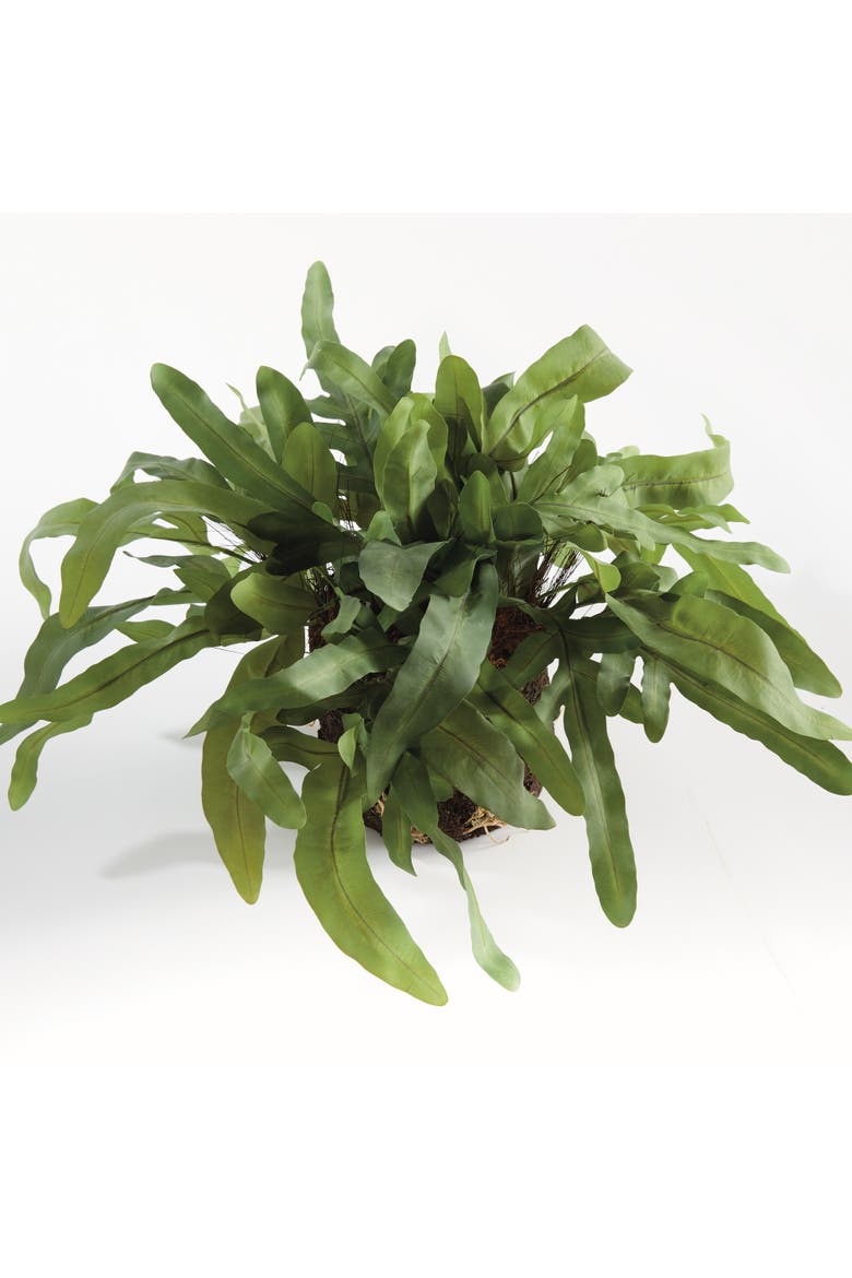 Echeveria Fern Artificial Plant Drop-In, Alternate, color, Green