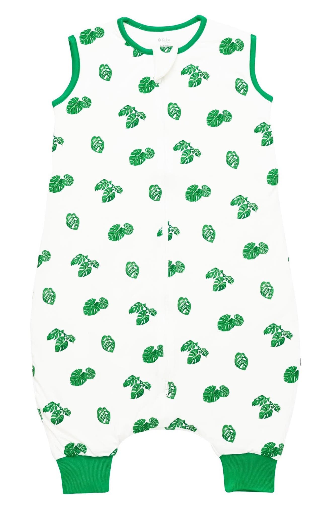MONSTERA